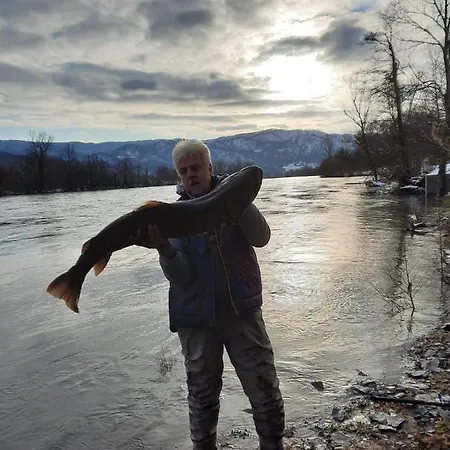 Vikendica Pavle